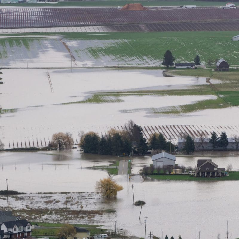 Devastating Flood Natural Disaster in the city and farmland after storm